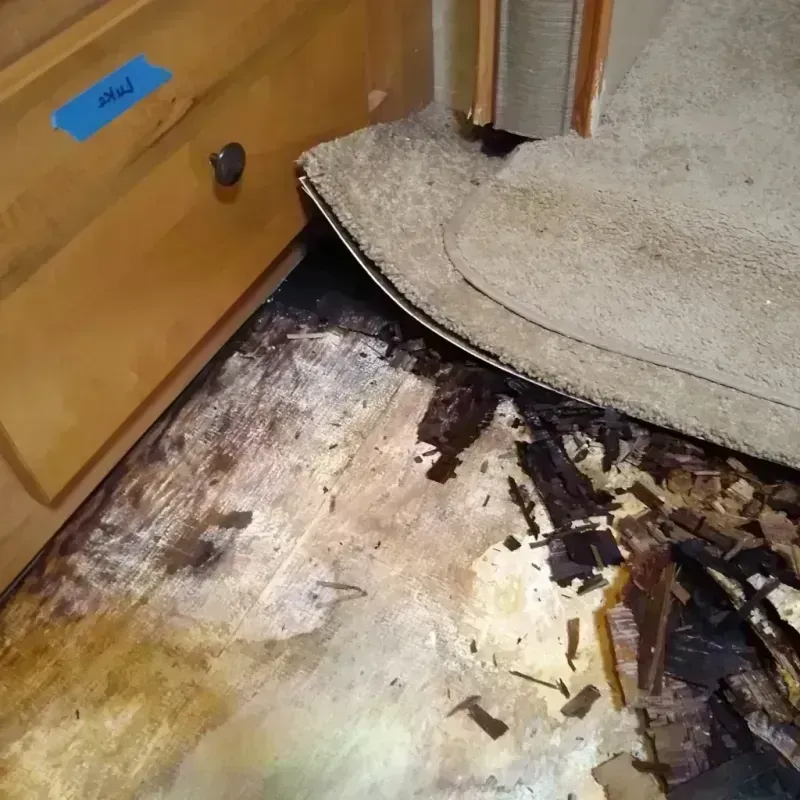 Wood Floor Water Damage in Richardson County, NE